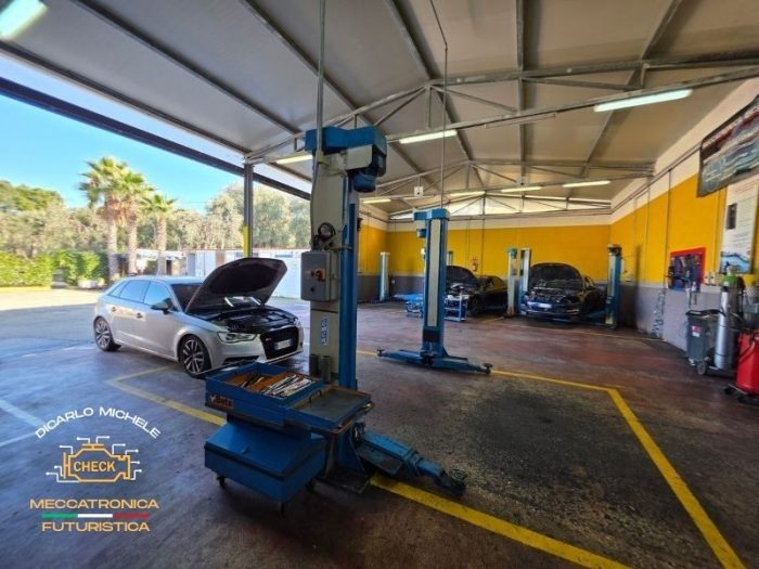 autofficine-di-carlo-vieste13