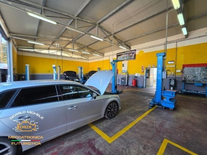 autofficine-di-carlo-vieste15