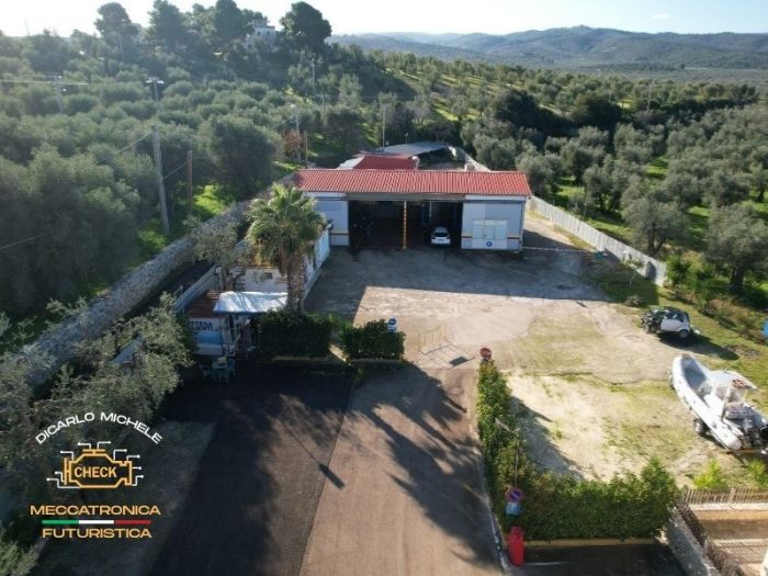 autofficine-di-carlo-vieste16