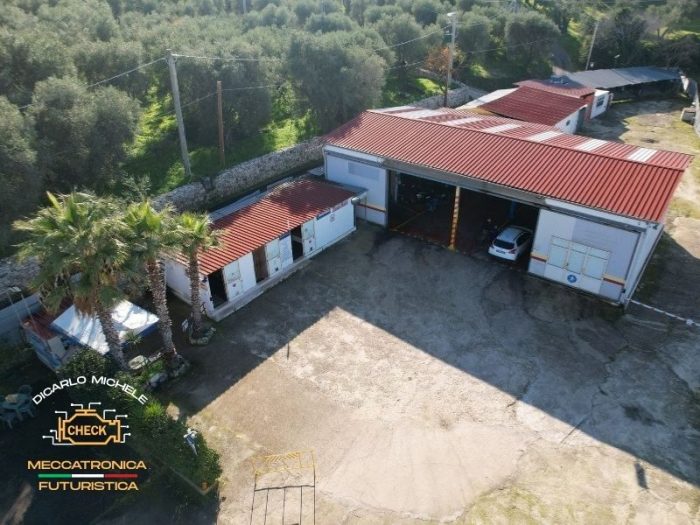 autofficine-di-carlo-vieste18