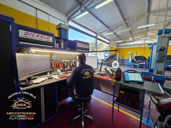 autofficine-di-carlo-vieste9