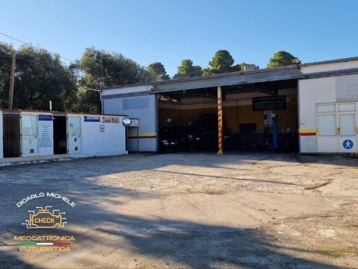 foto-autofficine-di-carlo-vieste-fg11