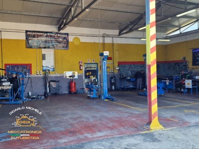 foto-autofficine-di-carlo-vieste-fg12