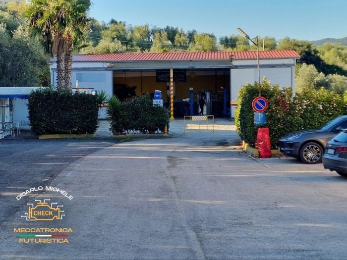 foto-autofficine-di-carlo-vieste-fg2