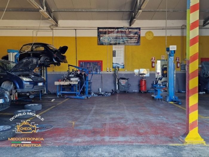 foto-autofficine-di-carlo-vieste-fg6