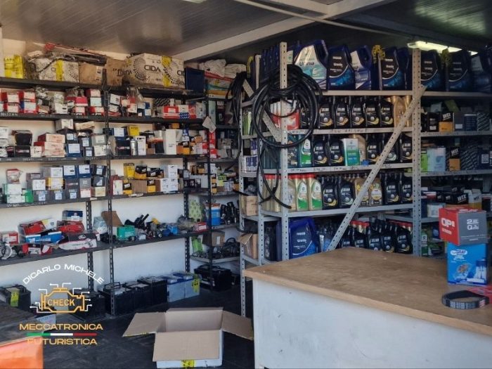 foto-autofficine-di-carlo-vieste-fg9